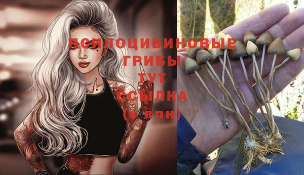 мяу мяу мука Алексин