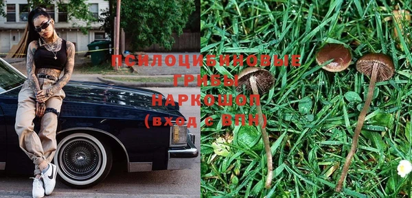 мяу мяу мука Алексин